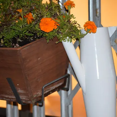 Apartamento Pla Dels Cirerers *