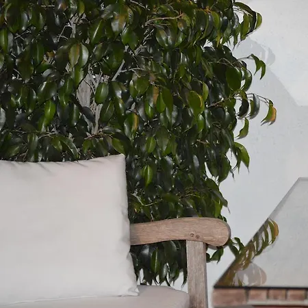 Pla Dels Cirerers Appartement *